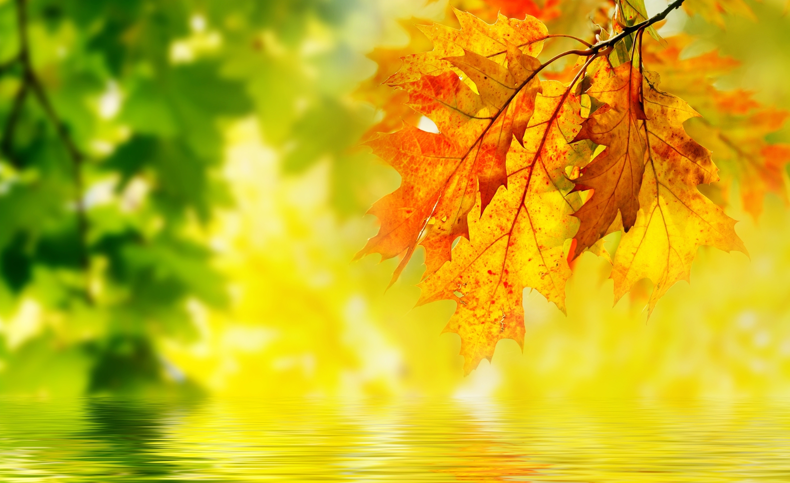 Couchtisch mit Motiv Natur & Blumen Herbst Sonne