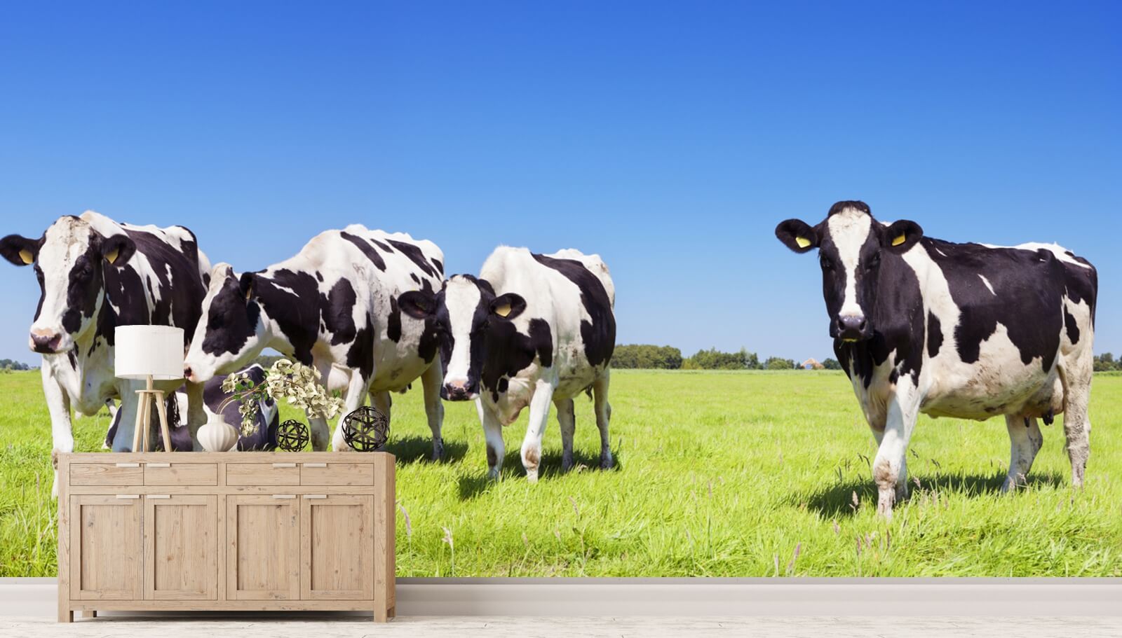 Vlies Tapete Fototapete Panorama Kuh Herde Rind Holsteiner