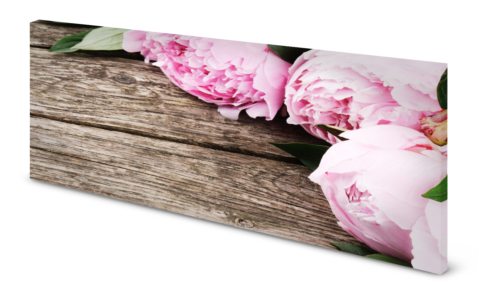 Magnettafel Pinnwand Bild Blumen Pfingstrosen rosa Holz gekantet