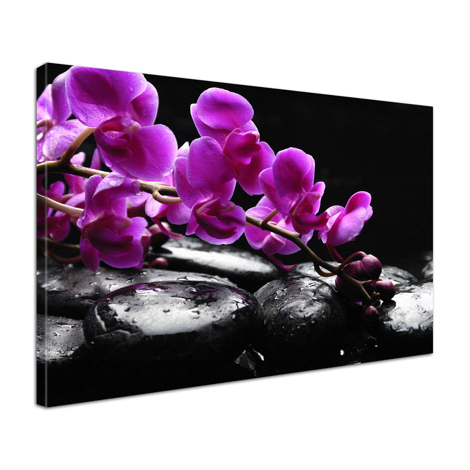 Leinwandbild Bild Wandbild  Natur & Blumen Orchidee Steine Zen