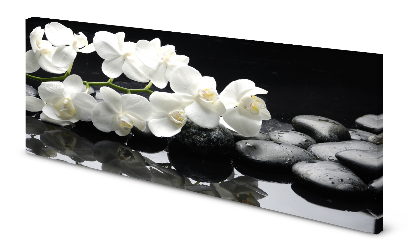 Magnettafel Pinnwand Bild Orchideen weiß Steine Zen gekantet
