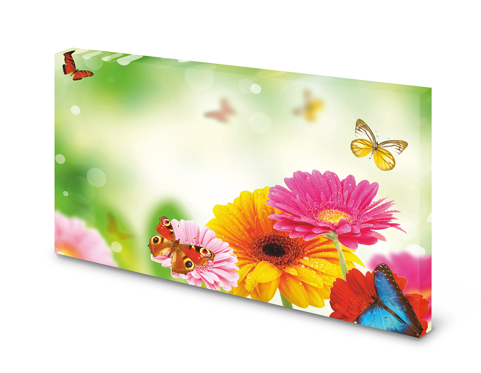 Magnettafel Pinnwand Bild Blumen Schmetterling gekantet XXL