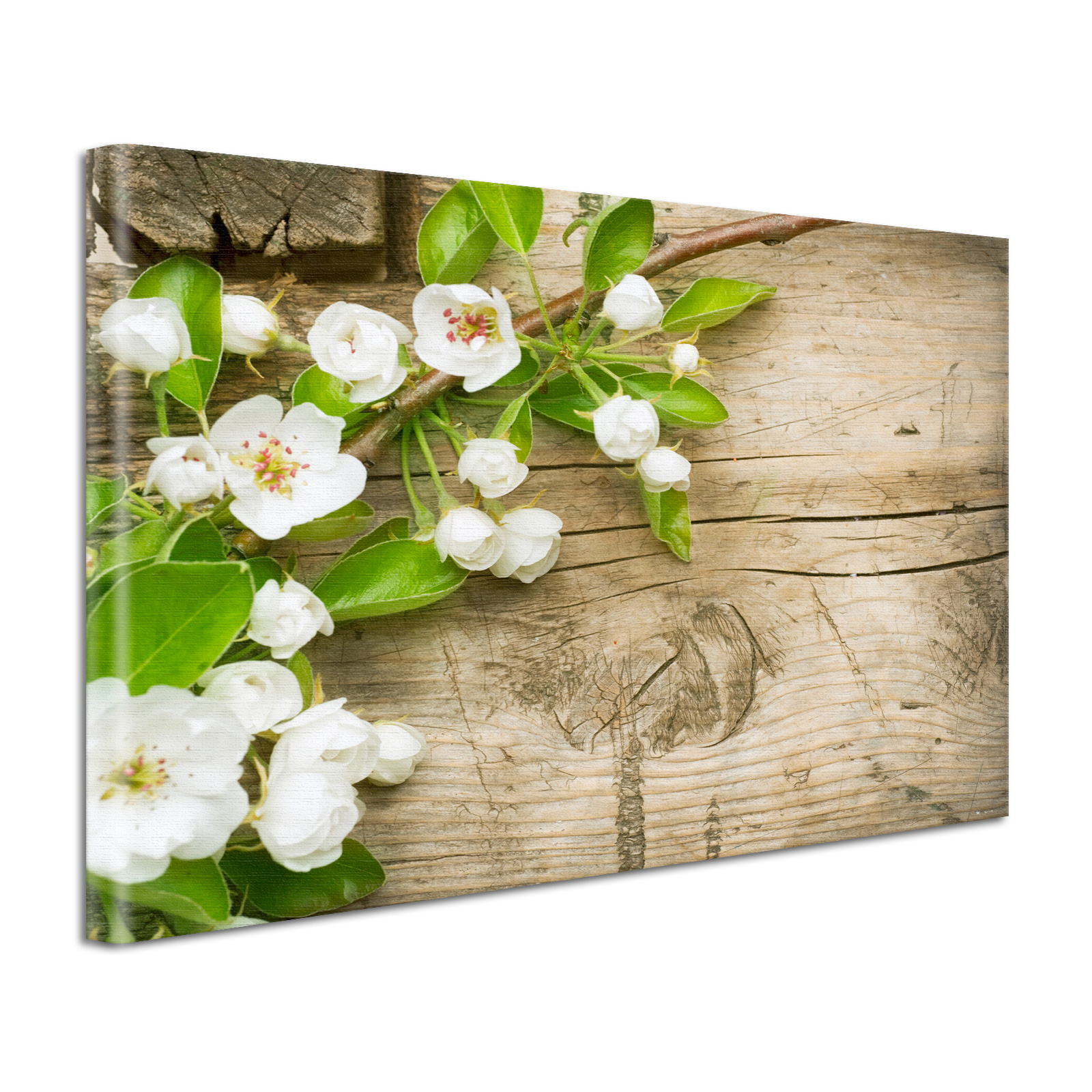 Leinwand Bild Natur & Blumen Apfelblüten auf Holz
