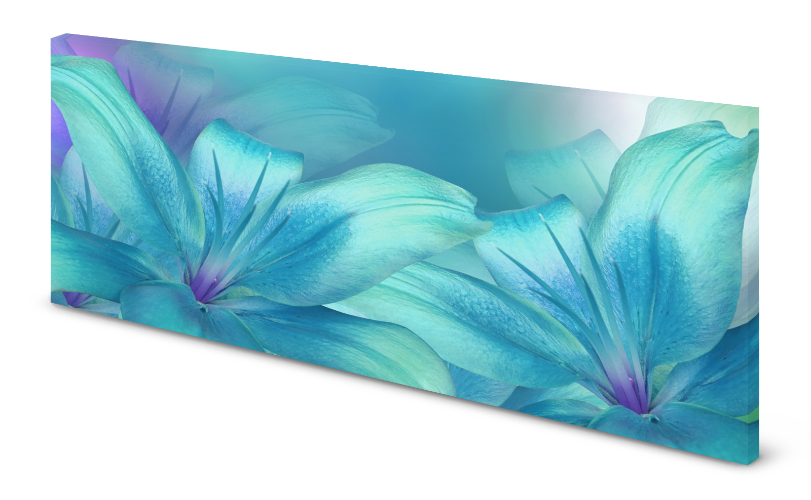 Magnettafel Pinnwand Bild Blumenmuster Aqua Aquamarine gekantet