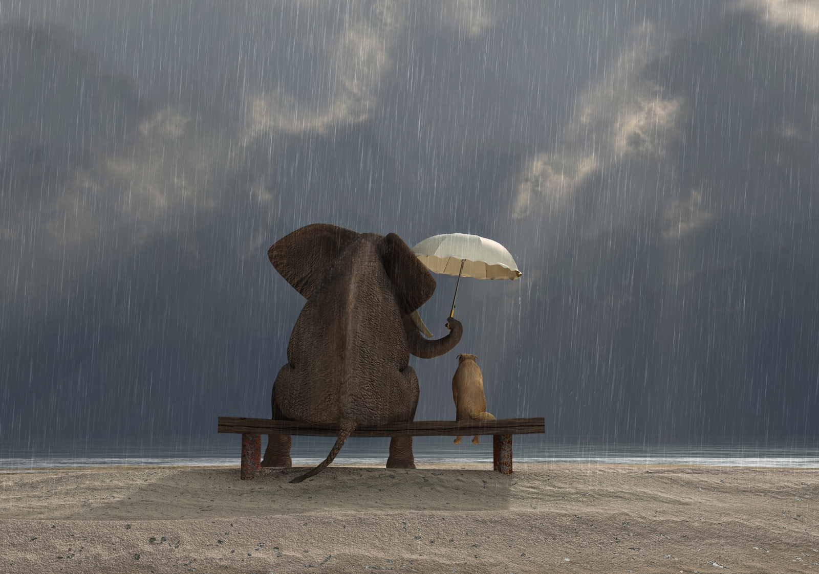 Poster Fototapete Tiere Elefant & Hund Freundschaft im Regen