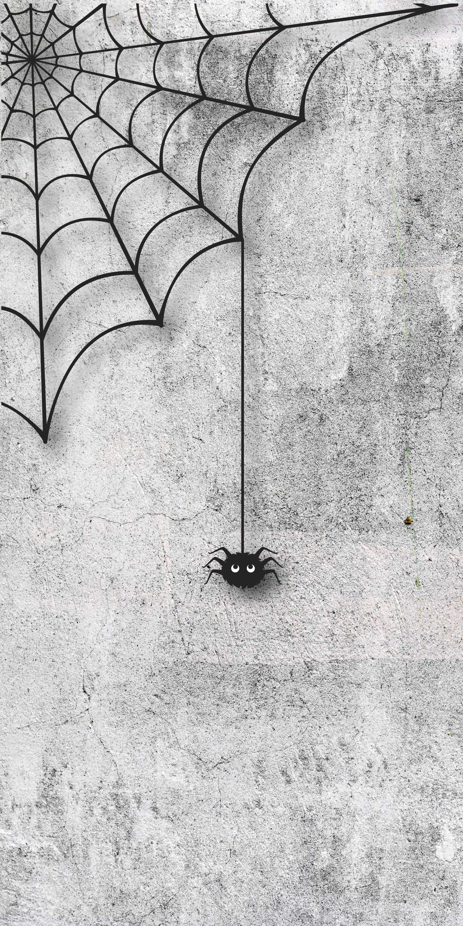 Vlies Tapete Betonoptik Poster Fototapete Spinne Spinnennetz