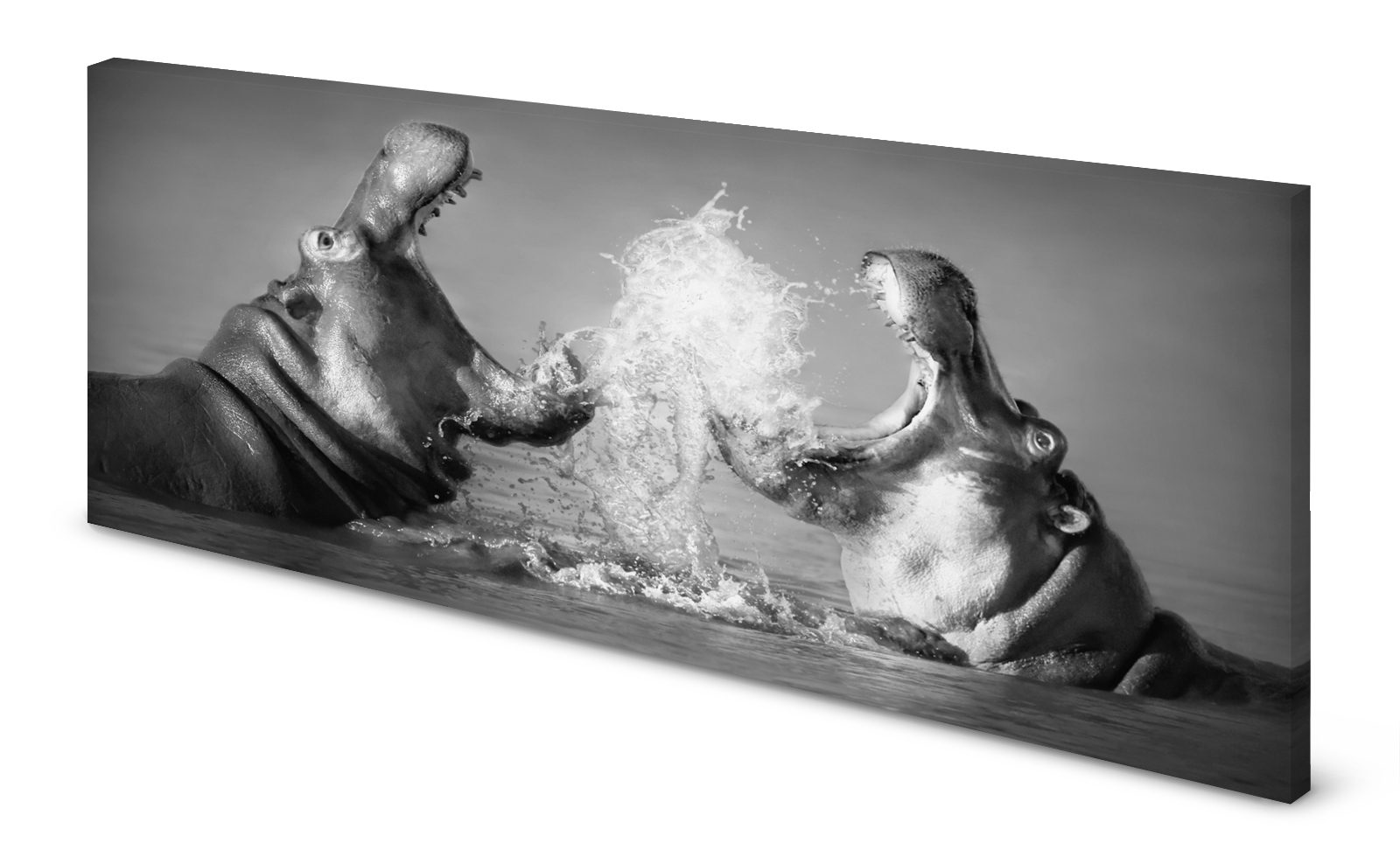 Magnettafel Pinnwand Bild Nilpferd Flusspferd Hippo gekantet