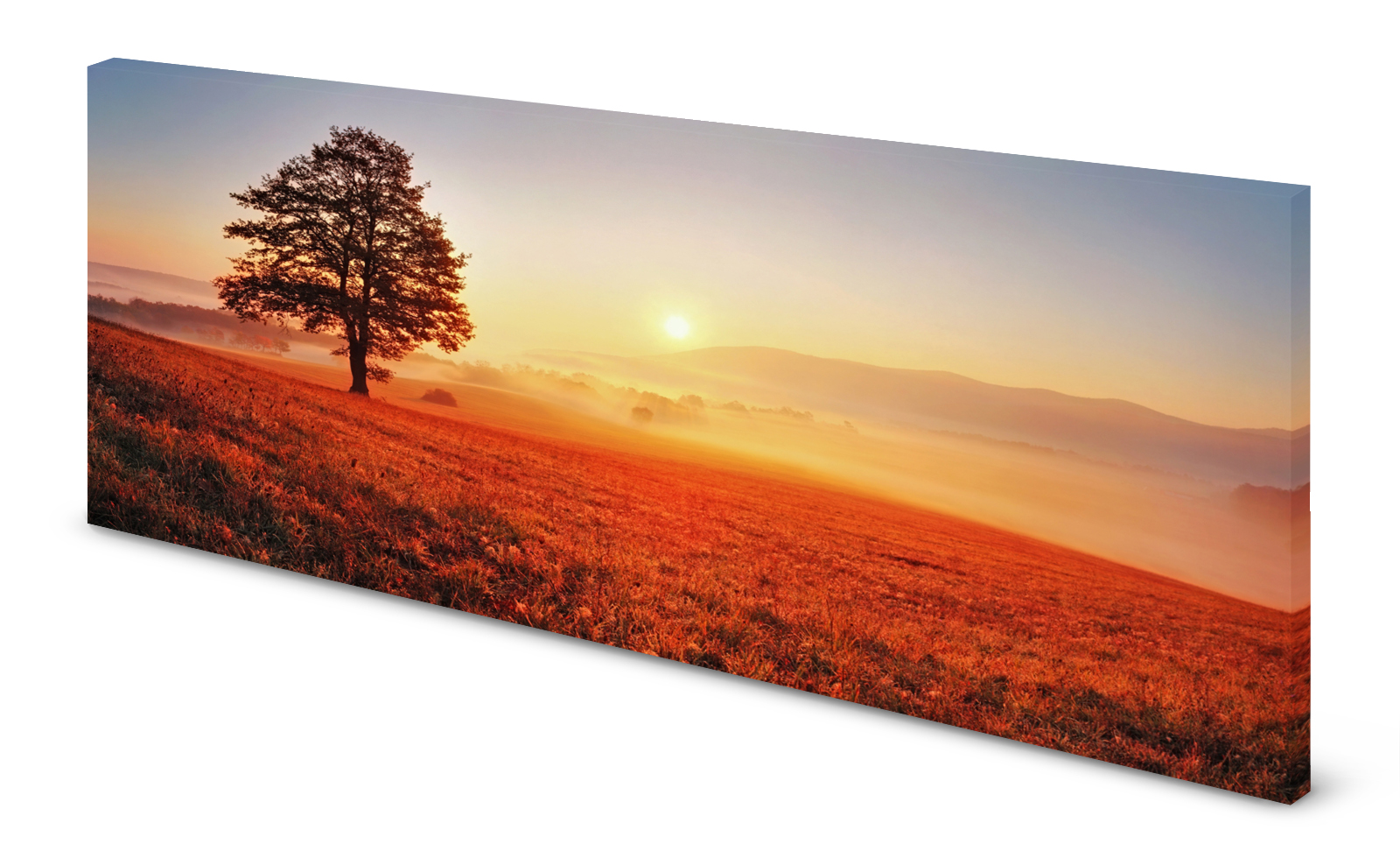 Magnettafel Pinnwand Bild Herbst Sonne Nebel Sonnenaufgang gekantet