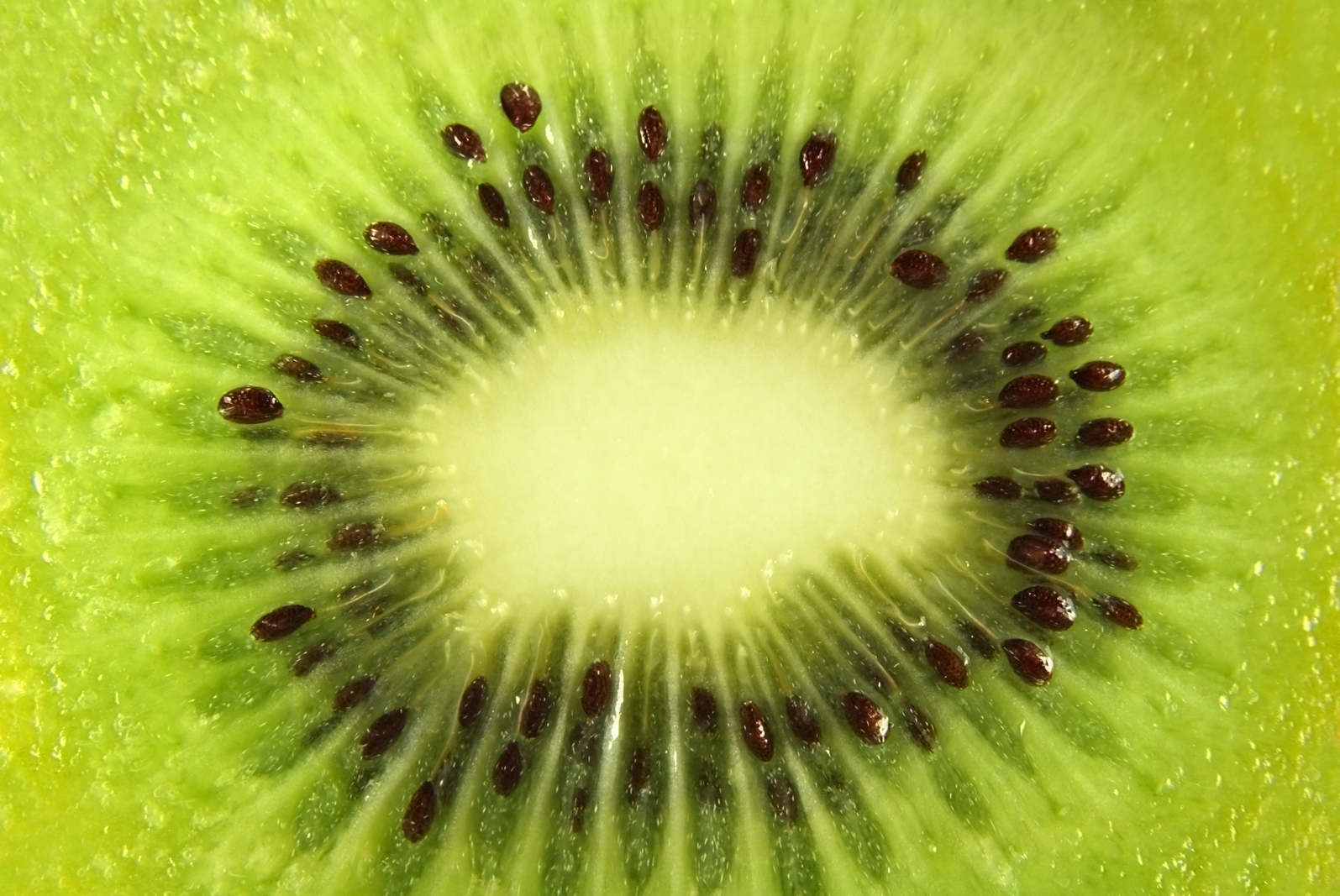 Magnettafel Pinnwand XXL Bild Küche Kiwi Obst grün