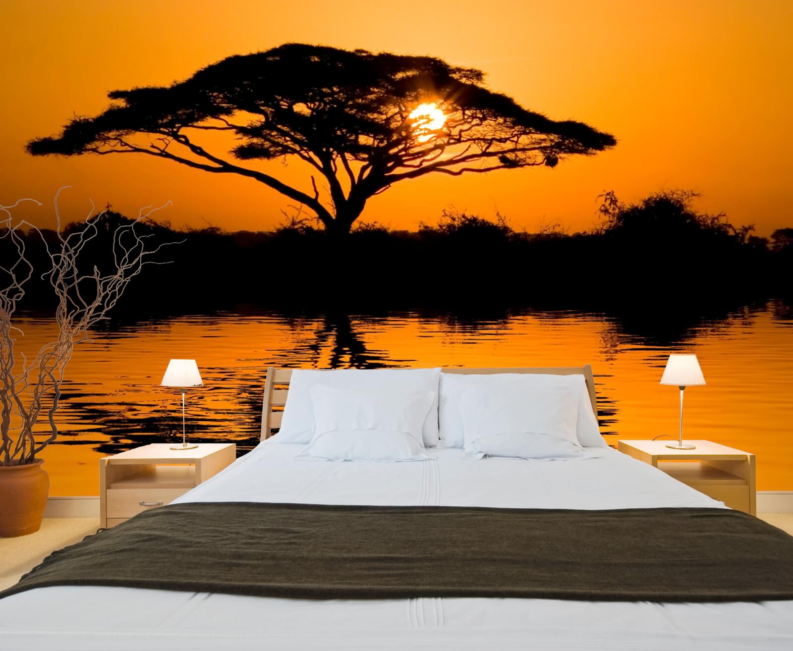 Vlies XXL-Poster Tapete Fototapete Natur Afrika Sonnenuntergang Affenbrotbaum