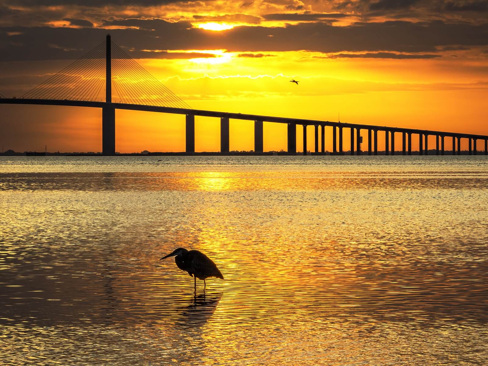 Vlies Tapete Fototapete Brücke Meer Sonnenuntergang Möwe