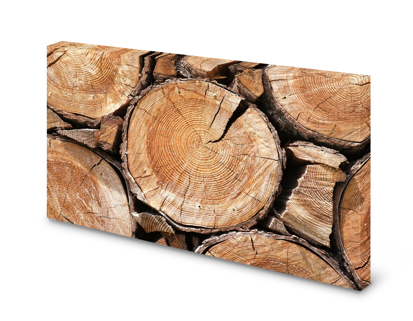 Magnettafel Pinnwand Bild Holz Baumscheiben Holzscheiben