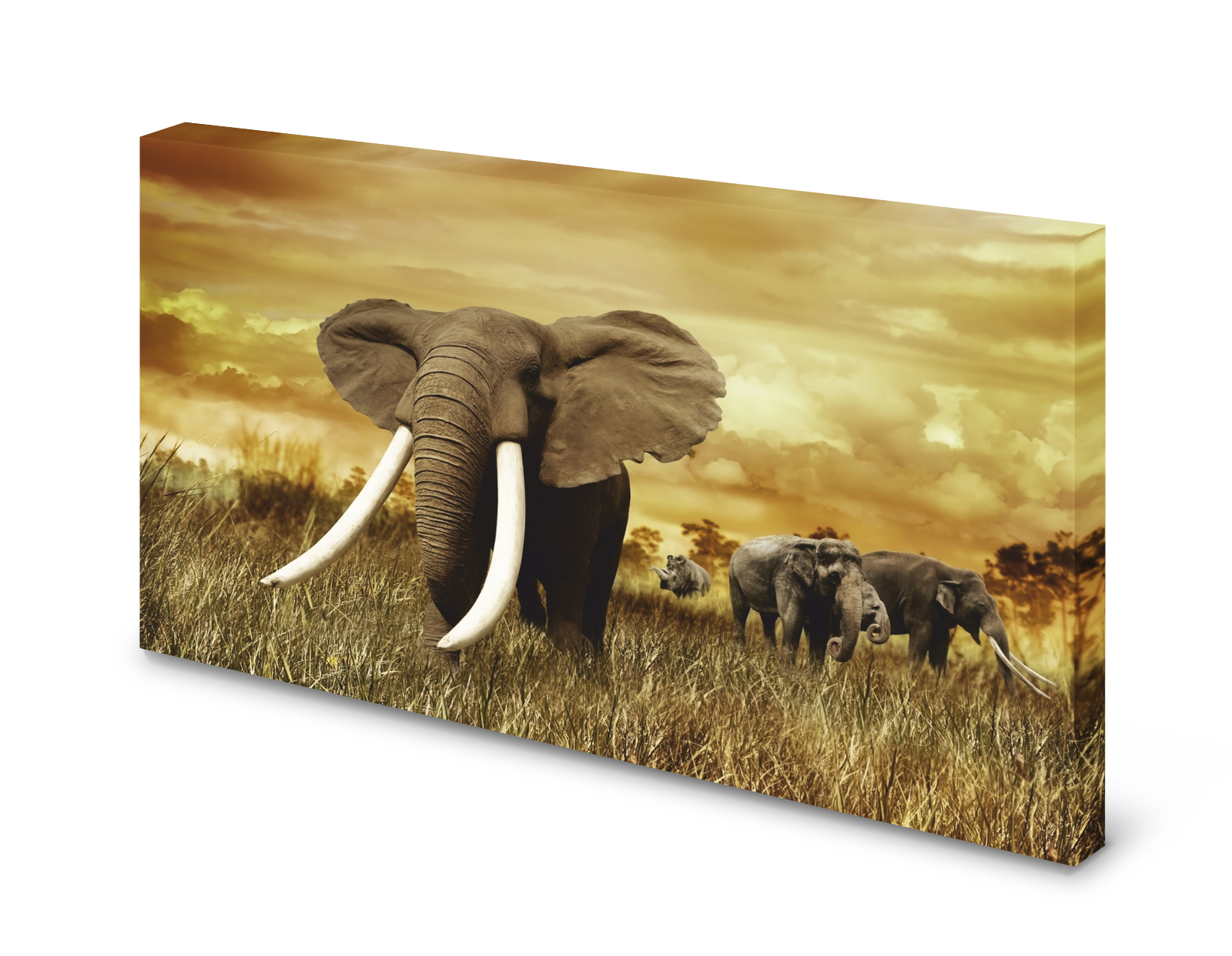 Magnettafel Pinnwand Bild Elefant Elefantenbulle Wildnis gekantet