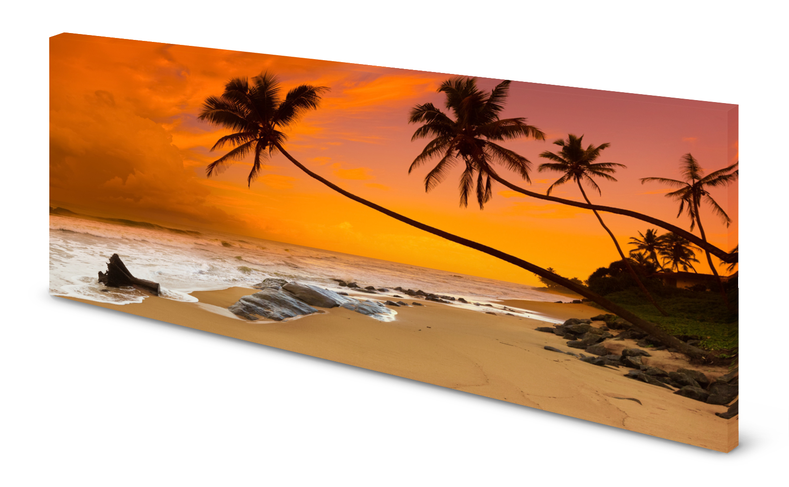 Magnettafel Pinnwand Palmen Strand Meer Sonnenuntergang gekantet