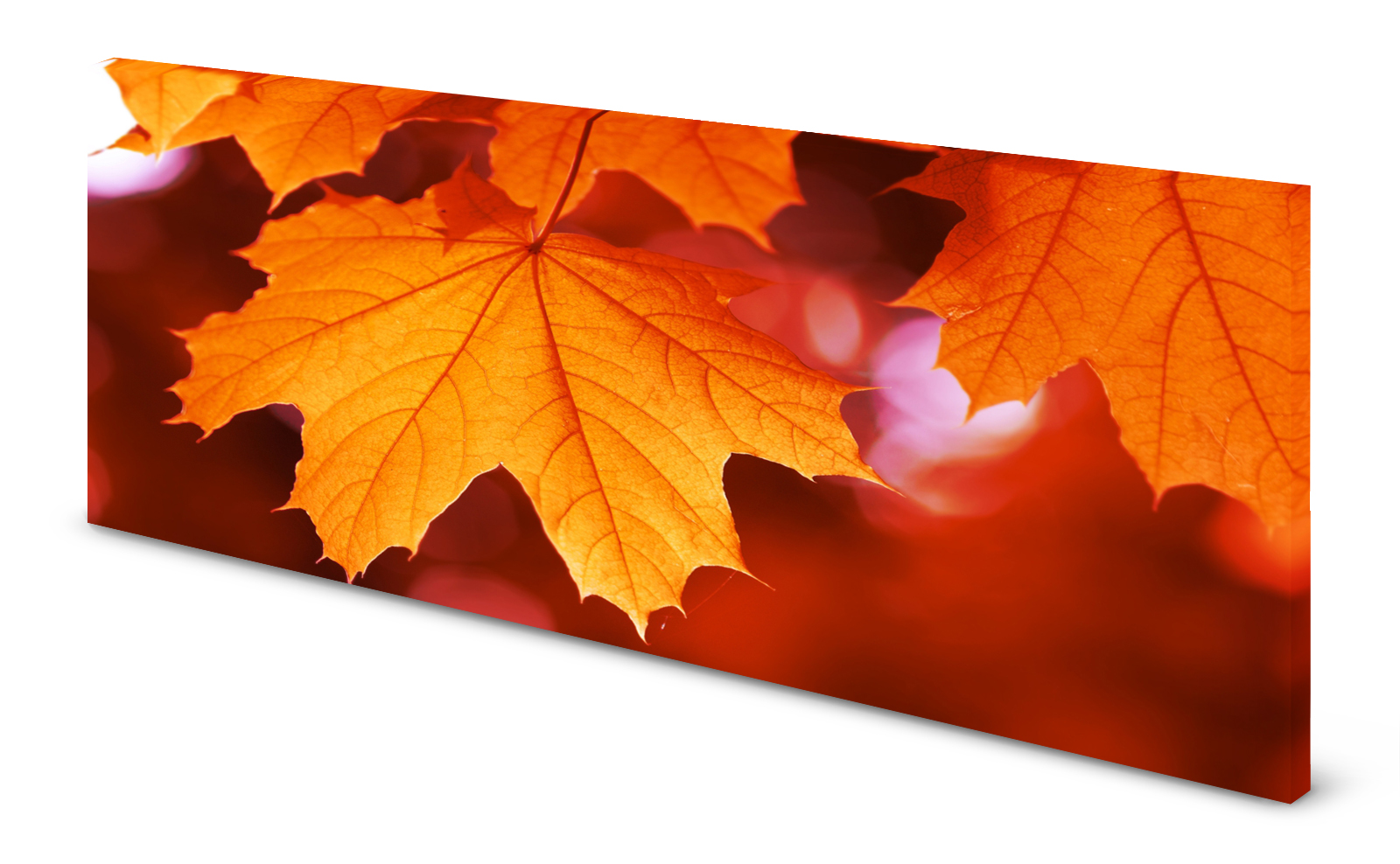 Magnettafel Pinnwand Bild Herbstblatt Herbstblätter Laub gekantet