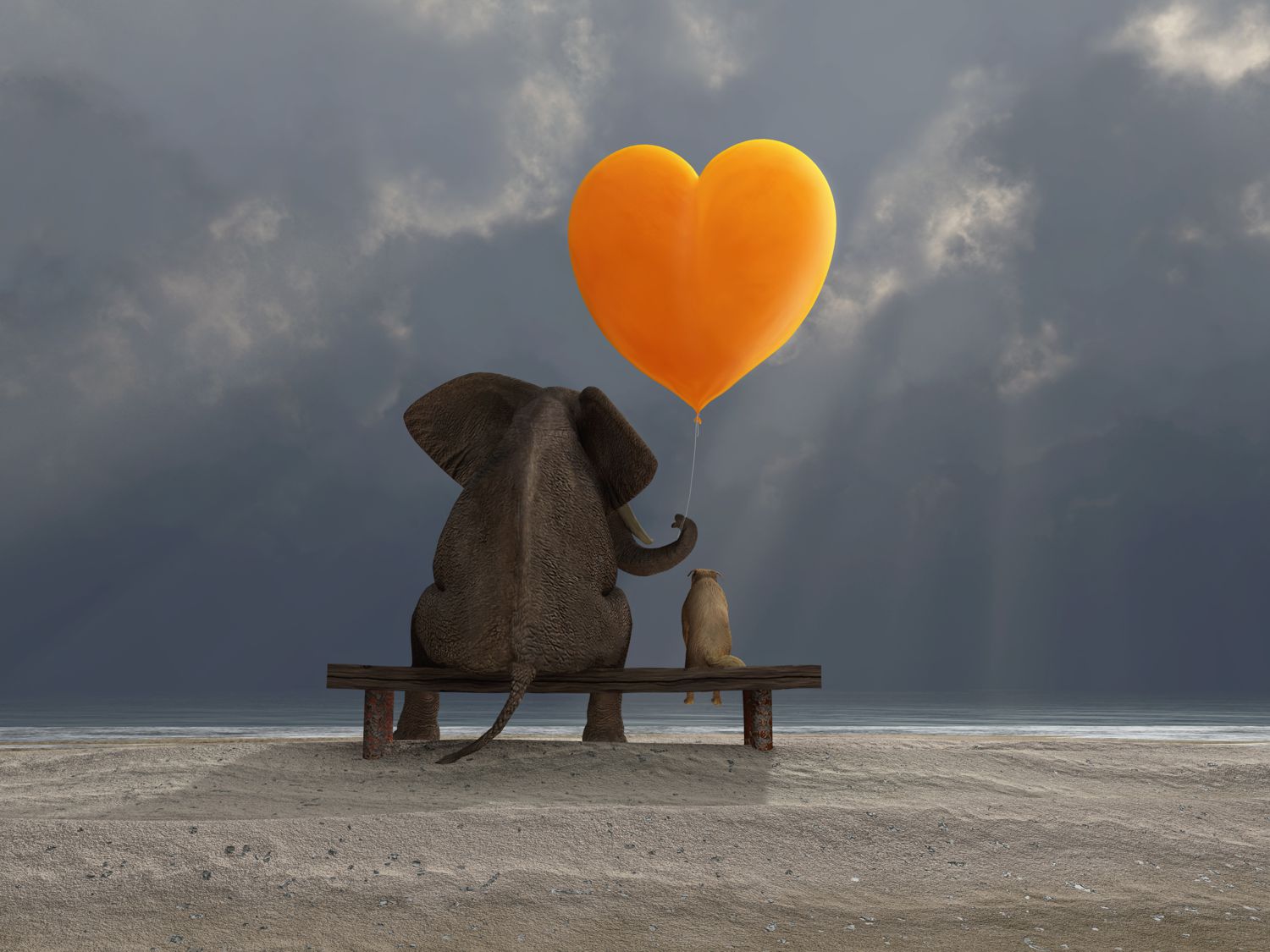 Leinwand Bild edel Tiere Elefant & Hund mit Herz Love