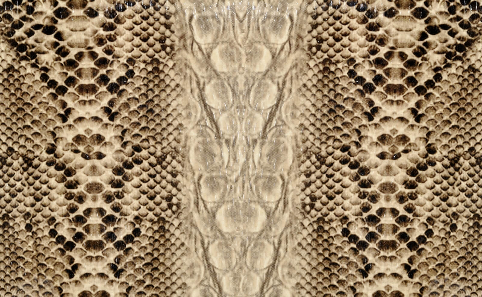 Couchtisch Tisch mit Motiv Bild Muster Schlange Python