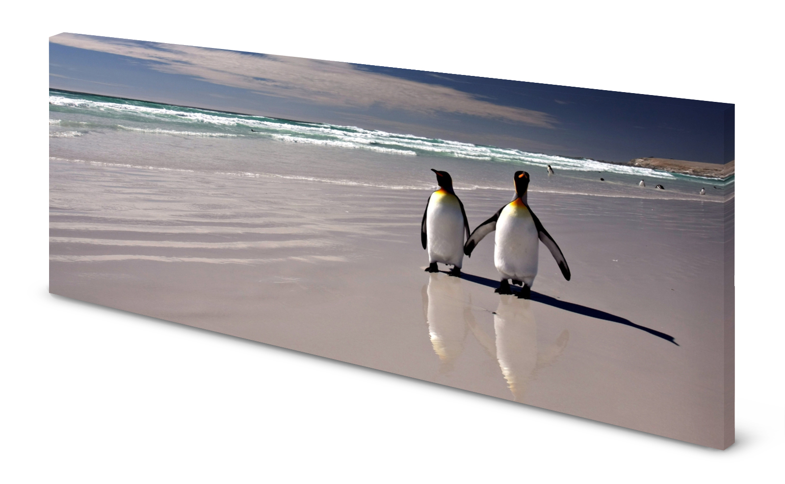 Magnettafel Pinnwand Bild Panorama Pinguin Pinguine gekantet