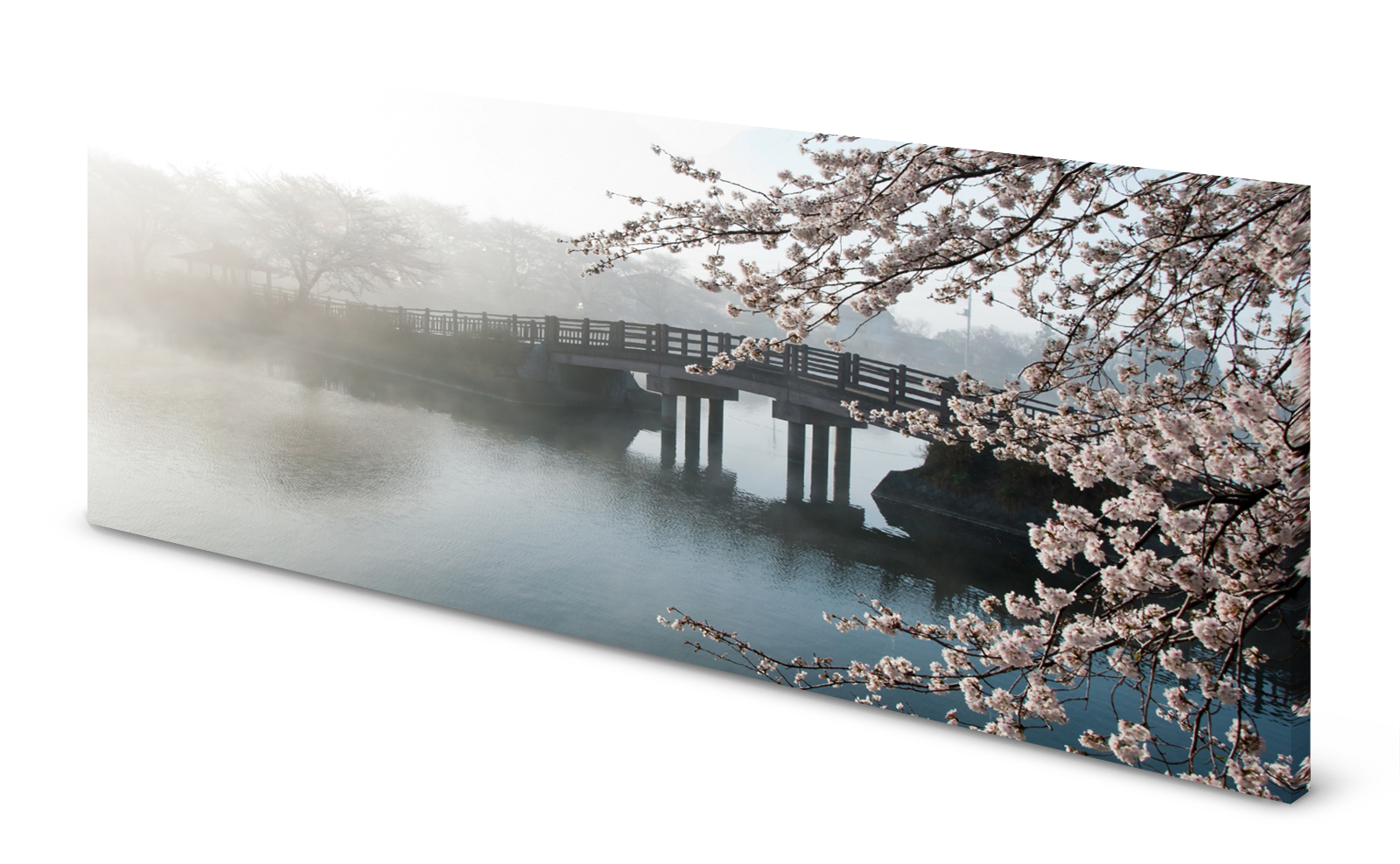 Magnettafel Pinnwand Bild Natur Nebel Brück Kirschblüte gekantet