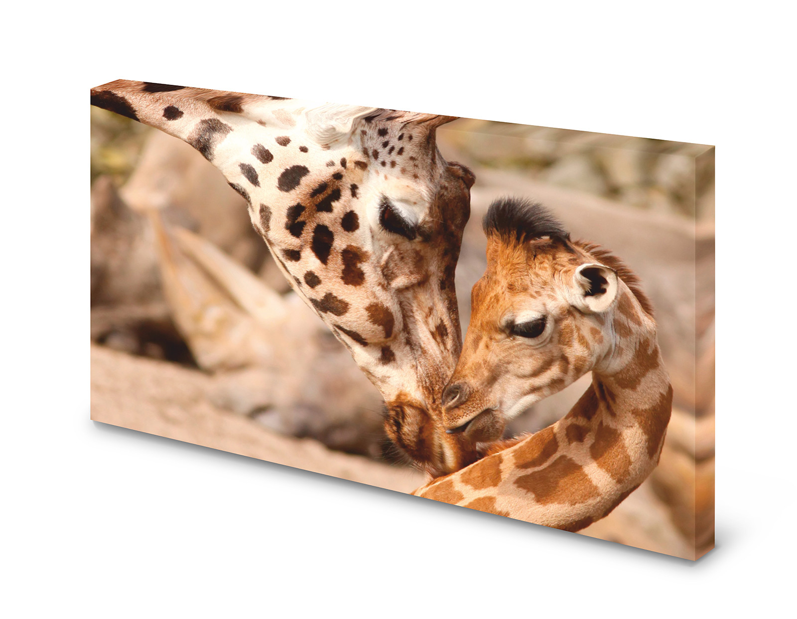 Magnettafel Pinnwand Bild   Giraffe Mutter Kind XXL gekantet