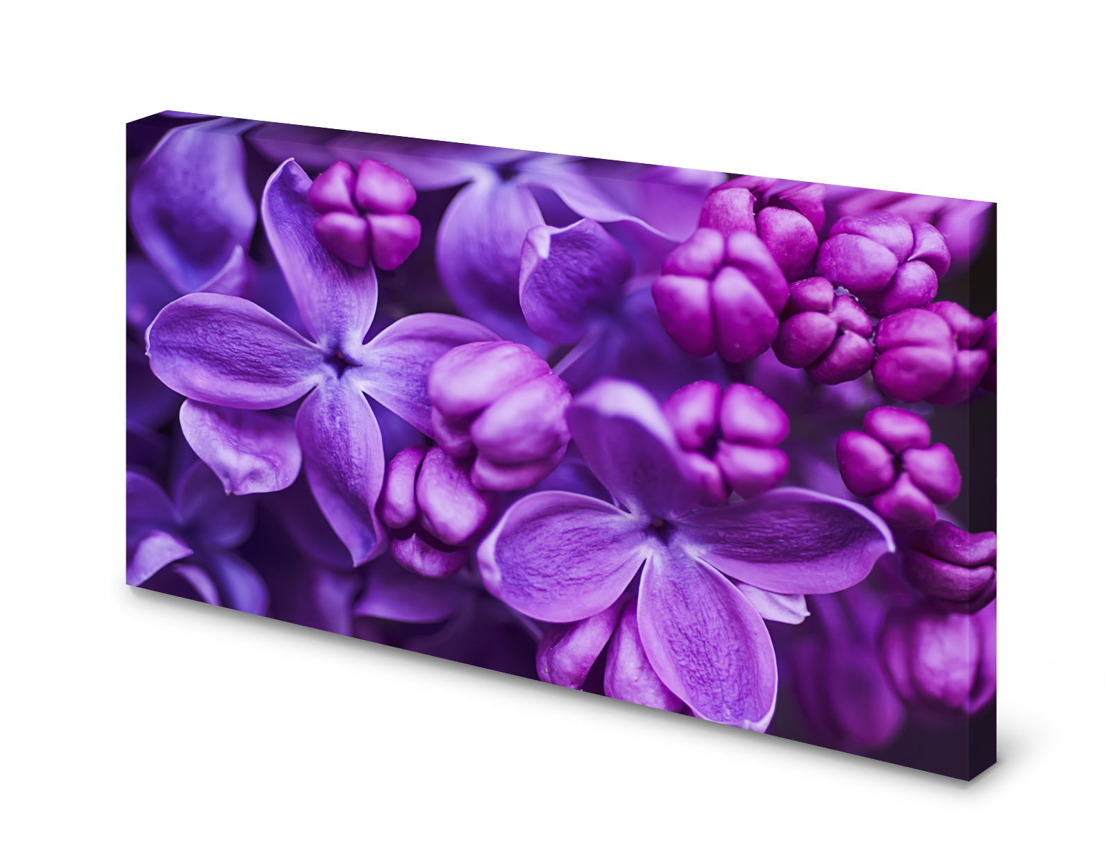 Magnettafel Pinnwand Bild Flieder lila Blumen Blumenmuster gekantet