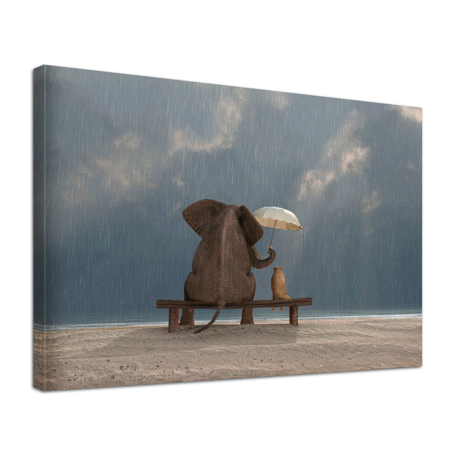 Leinwand Bild edel Tiere Elefant & Hund Freundschaft im Regen