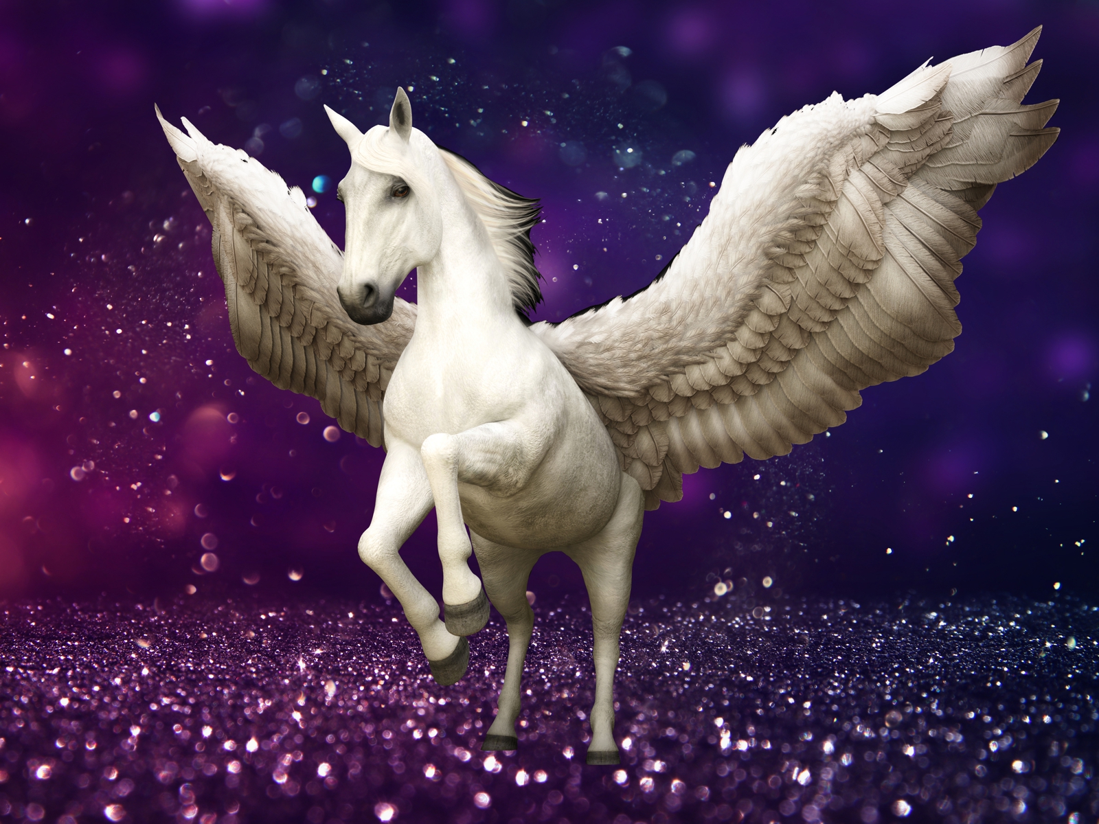 Vliestapete Poster Fototapete Pegasus Pferd lila Glitzer