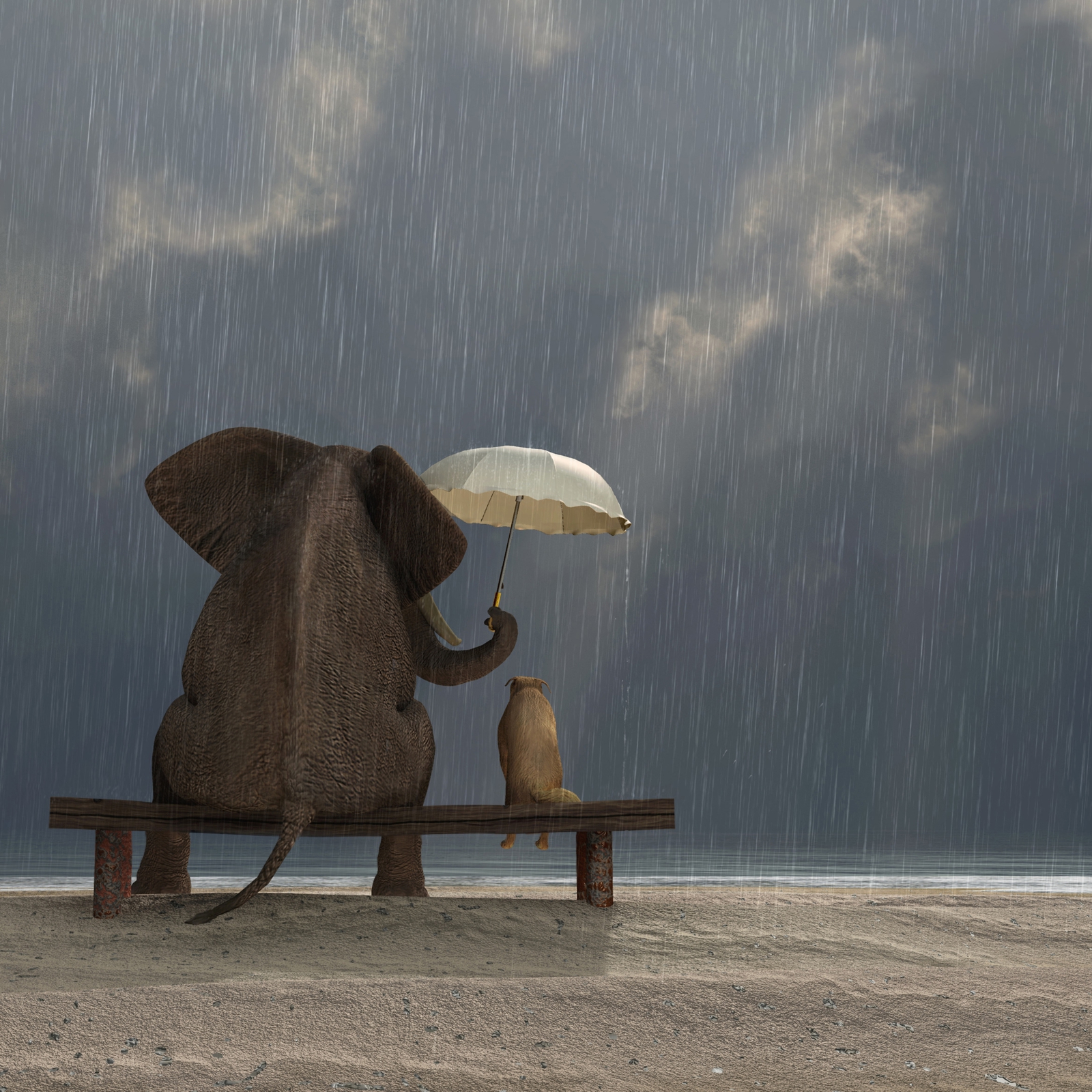 Beistelltisch Couchtisch mit Motiv Tiere Elefant & Hund Freundschaft im Regen