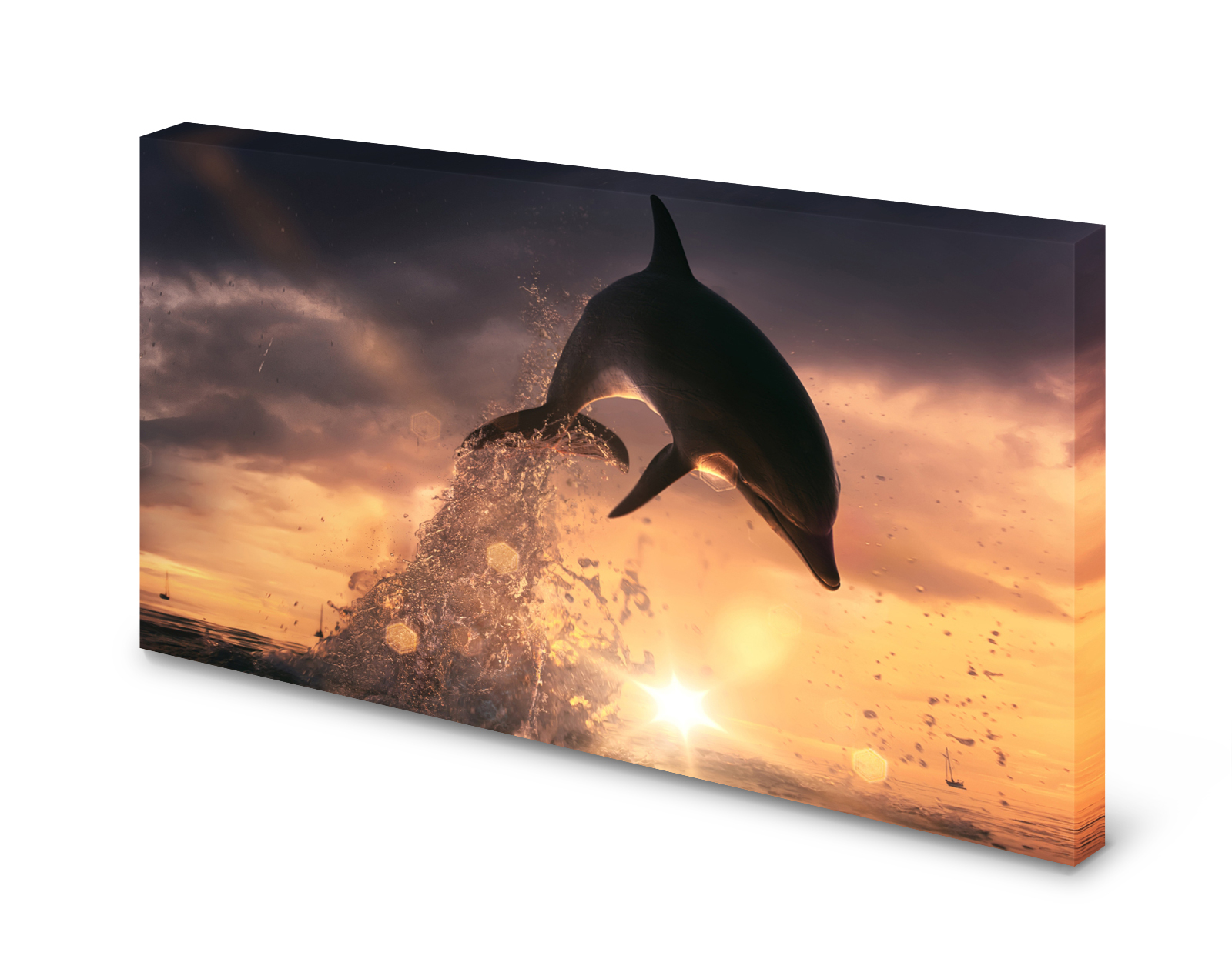 Magnettafel Pinnwand Bild XXL Delphin Ozean Meer XXL gekantet