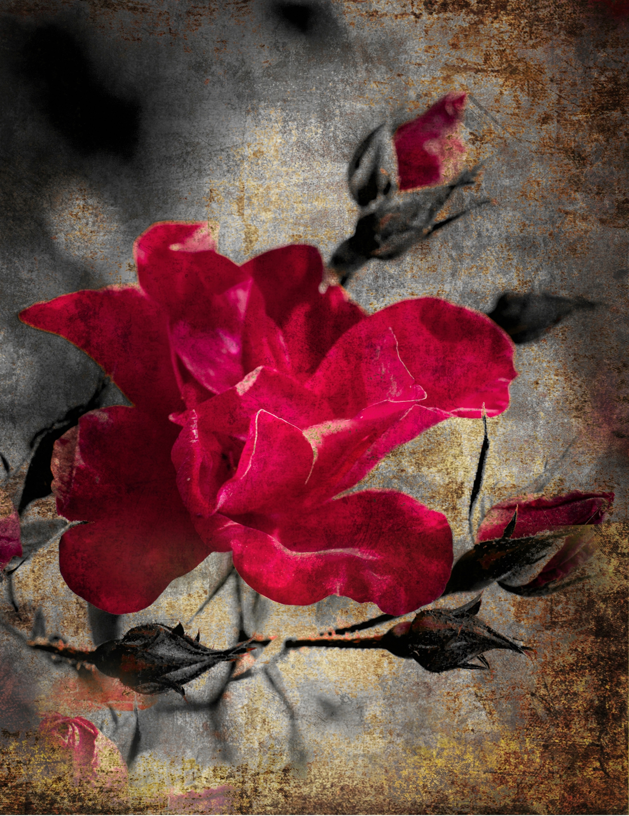 Leinwandbild Gemälde Rose