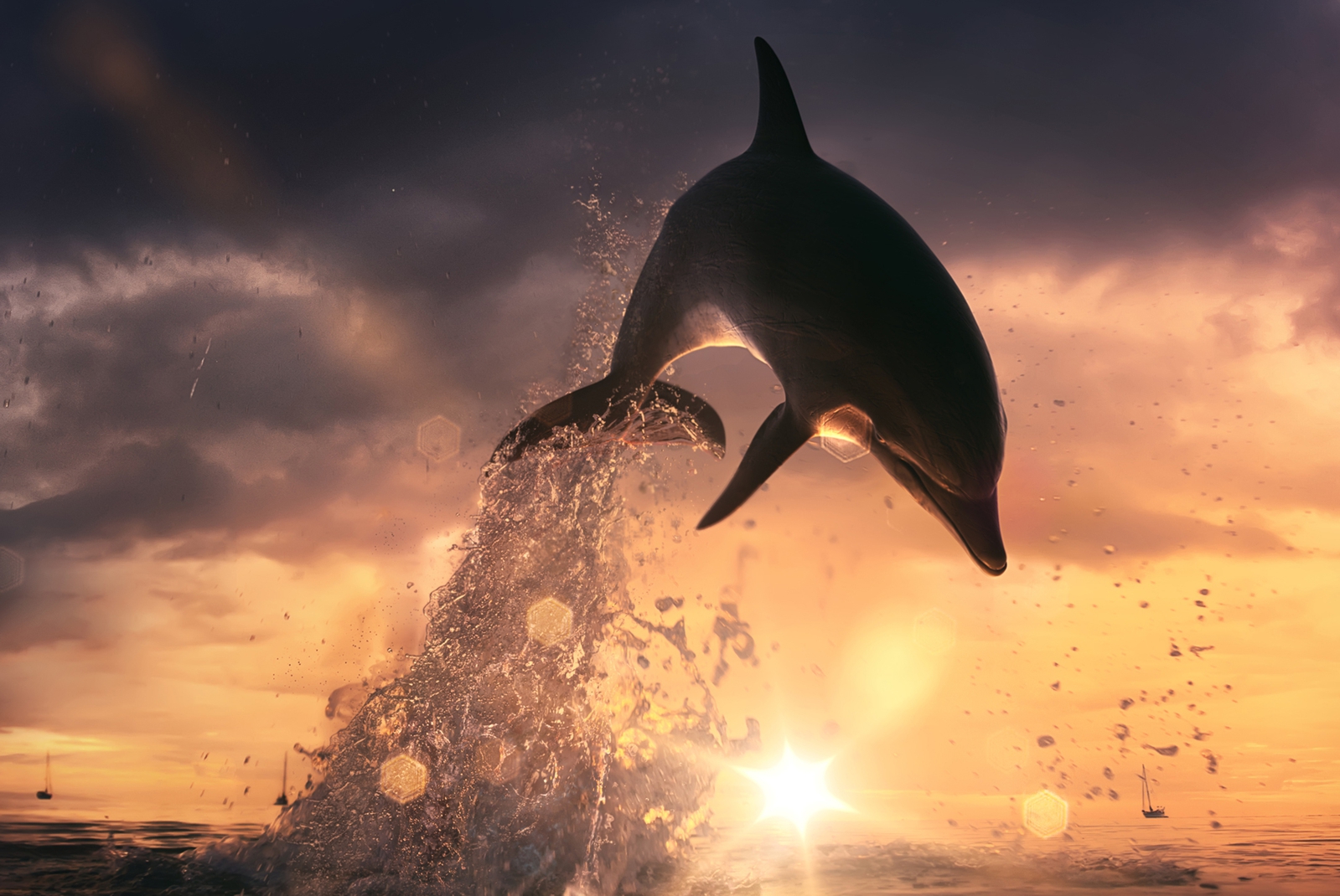 Magnettafel Pinnwand XXL Bild Delphin Delfin Sprung Meer