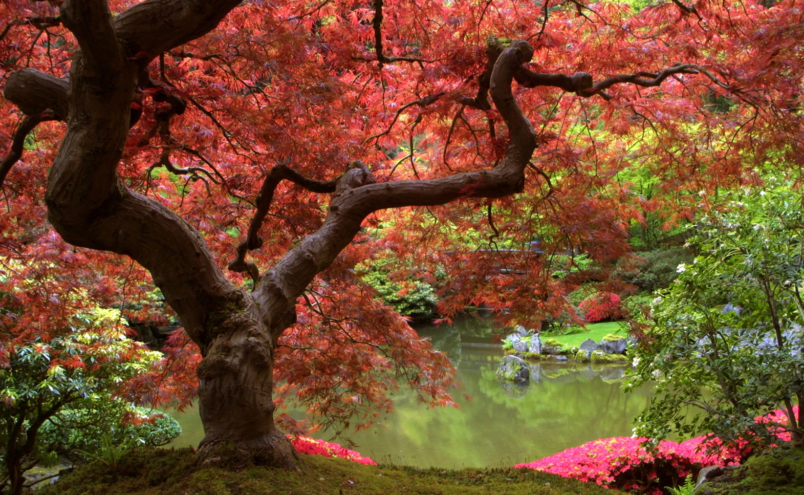 Couchtisch mit Motiv Natur & Blumen Japanischer Garten 2