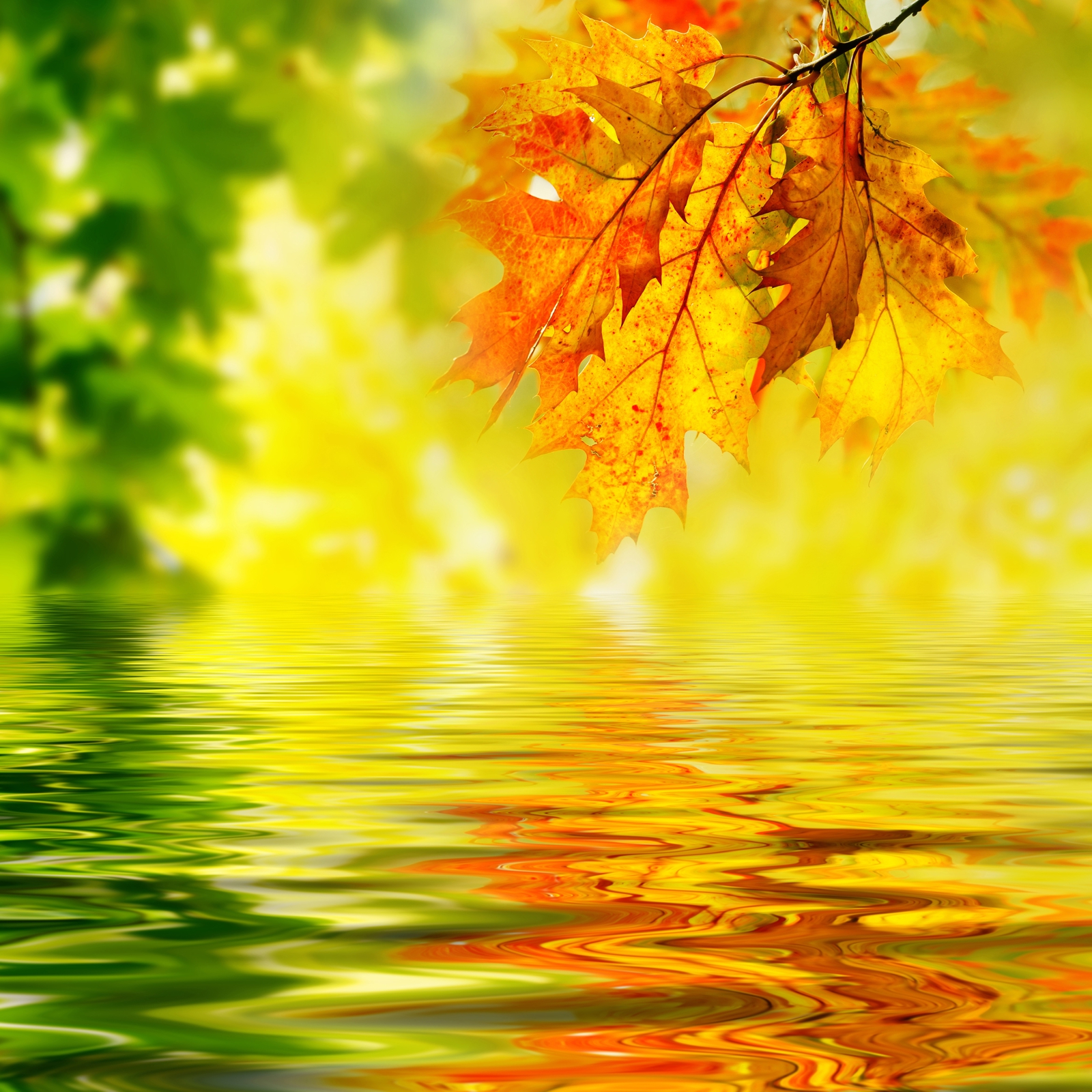 Beistelltisch Couchtisch mit Motiv Natur Herbstsonne