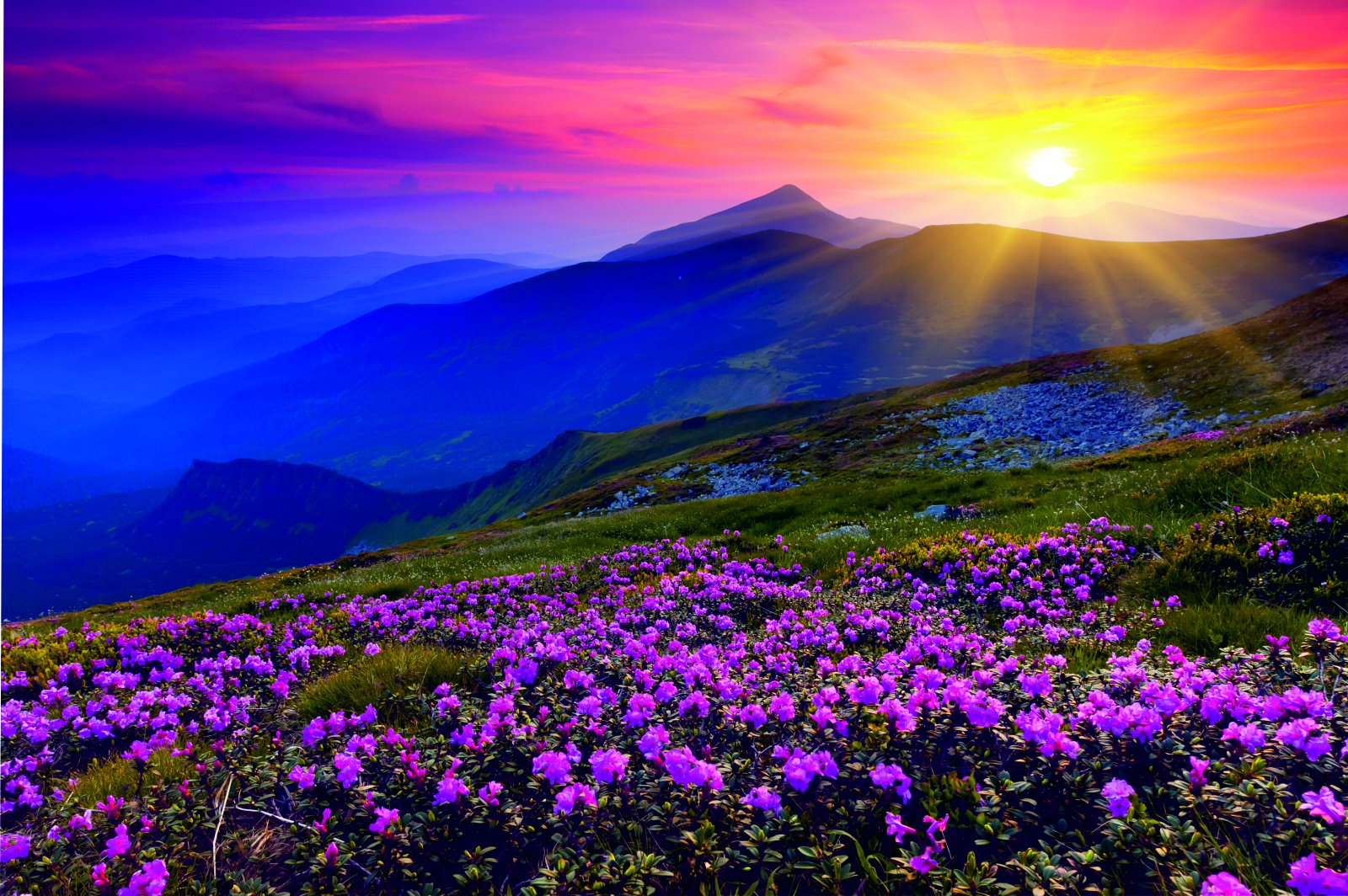 Leinwand Bild edel  Natur Sonnenaufgang in den Bergen in lila