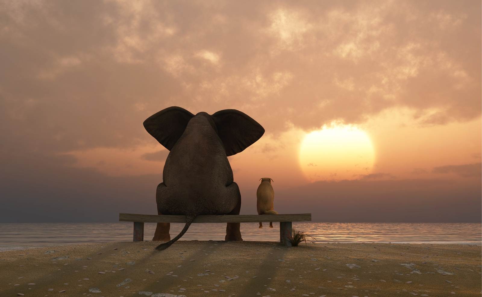Couchtisch Tisch mit Motiv Tiere Elefant & Hund Freundschaft am Strand