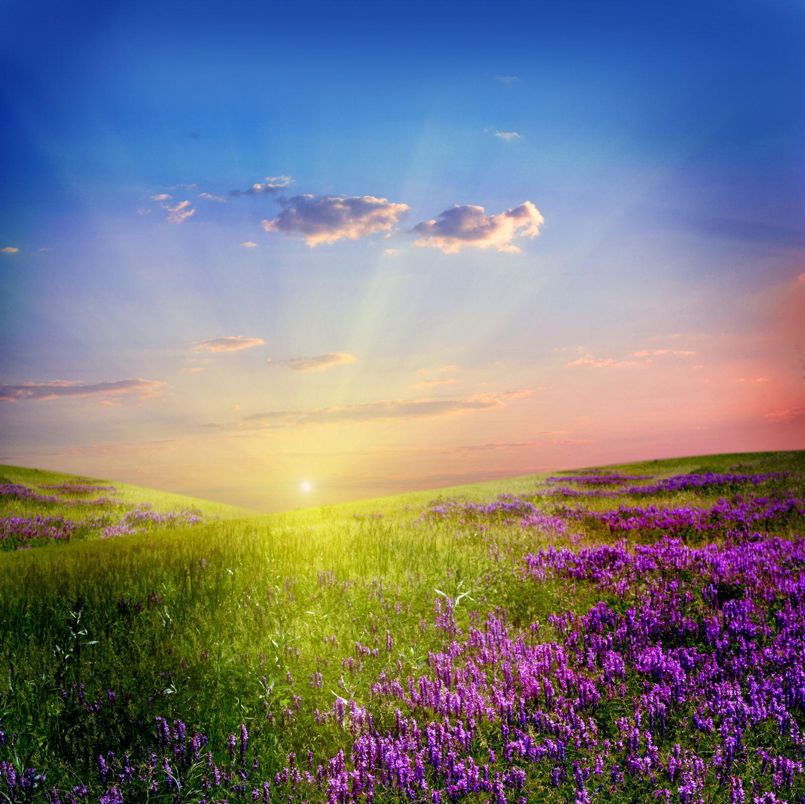 Beistelltisch Couchtisch mit Motiv Natur Lavendeltraum Landschaft in lila