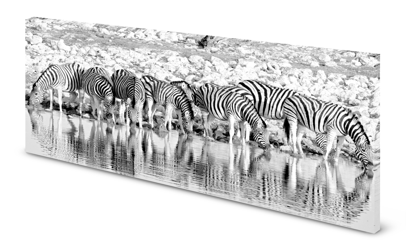 Magnettafel Pinnwand Bild Zebra Zebraherde Wasserloch gekantet