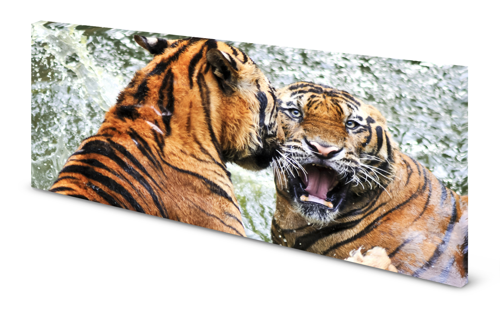 Magnettafel Pinnwand Bild Panorama Tiger gekantet