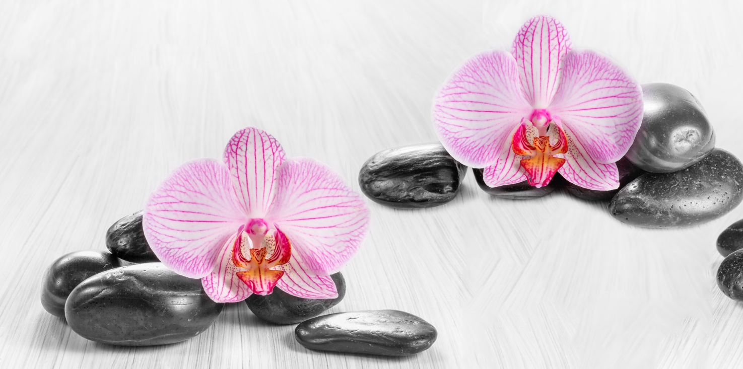 Magnettafel Pinnwand Bild XXL Panorama schwarze Steine Orchidee