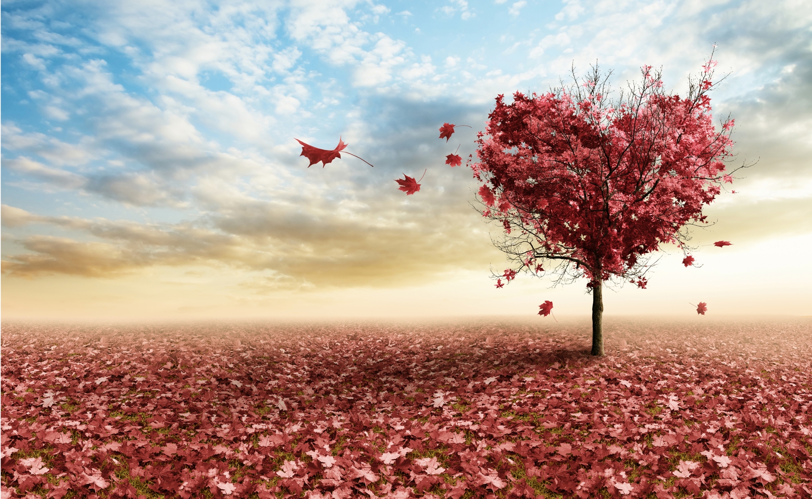 Couchtisch mit Motiv Natur & Blumen Herzbaum in rot love