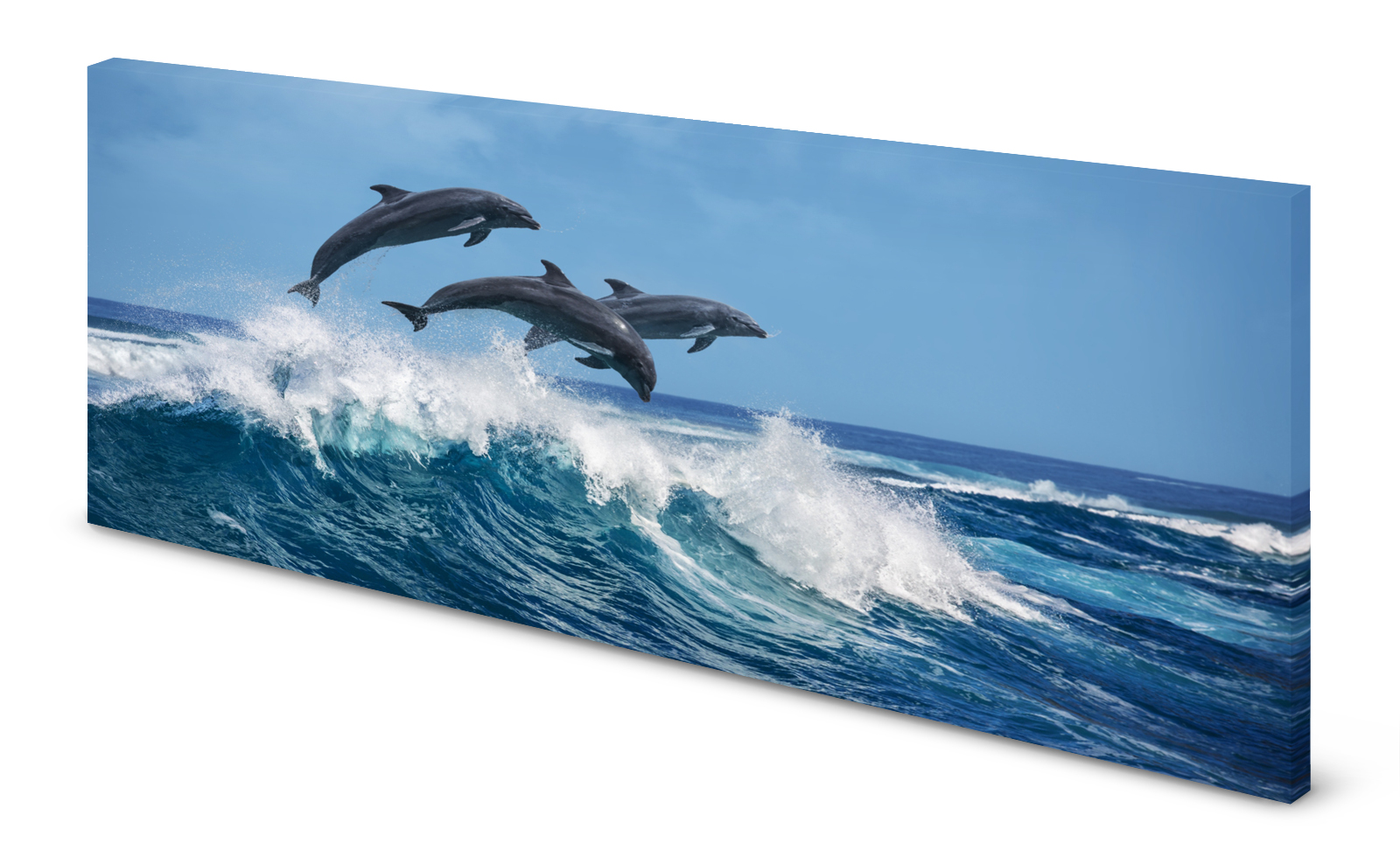 Magnettafel Pinnwand Bild Delfine Ozean gekantet