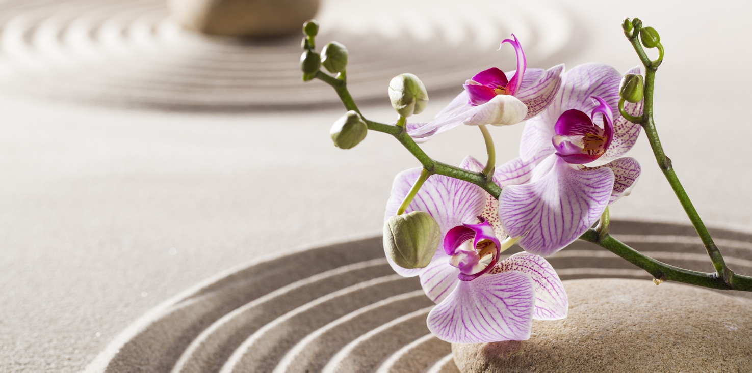 Magnettafel Pinnwand Bild XXL Panorama Orchidee Sand Zen Steine