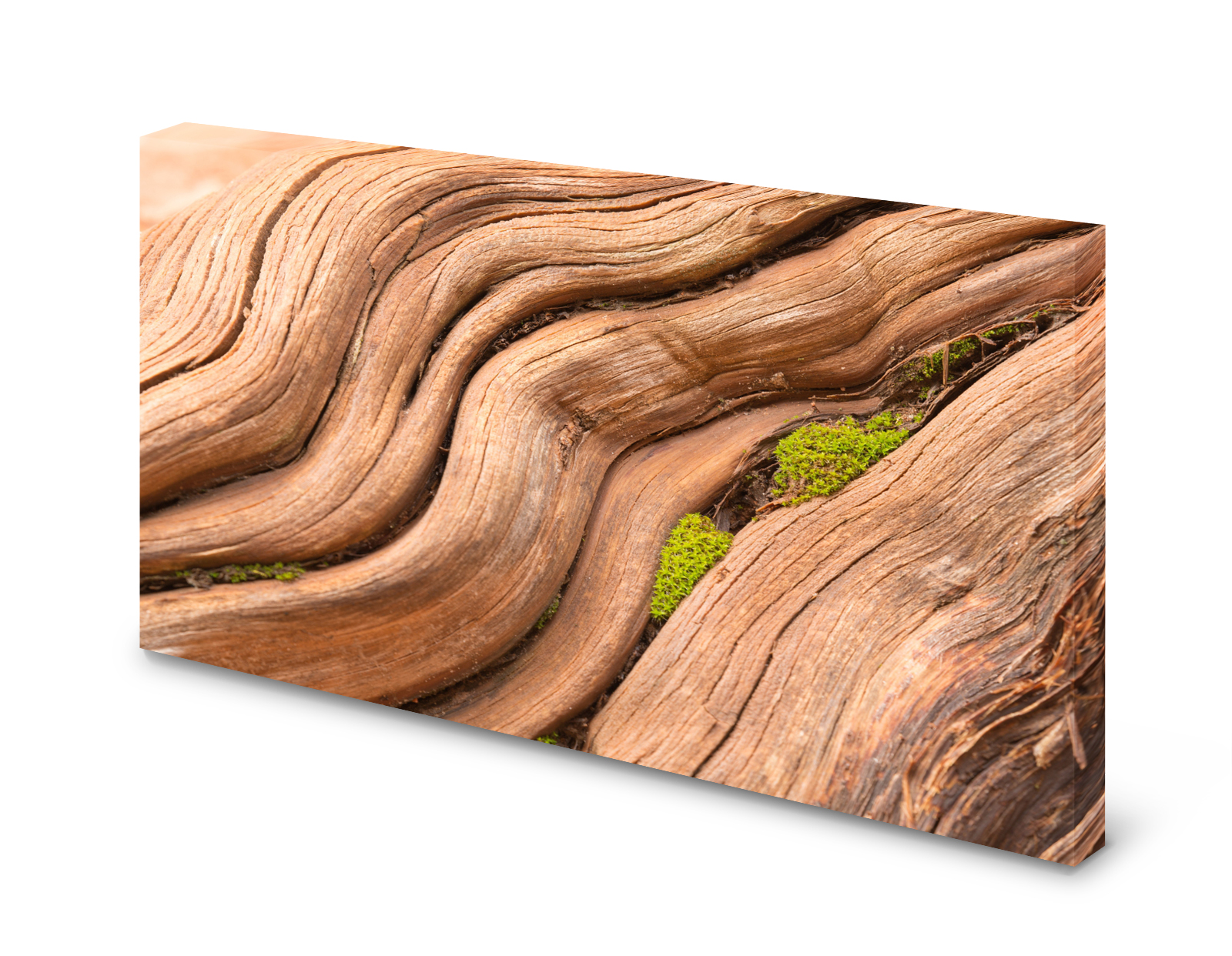 Magnettafel Pinnwand Bild Holz Naturholz Natur Moos gekantet