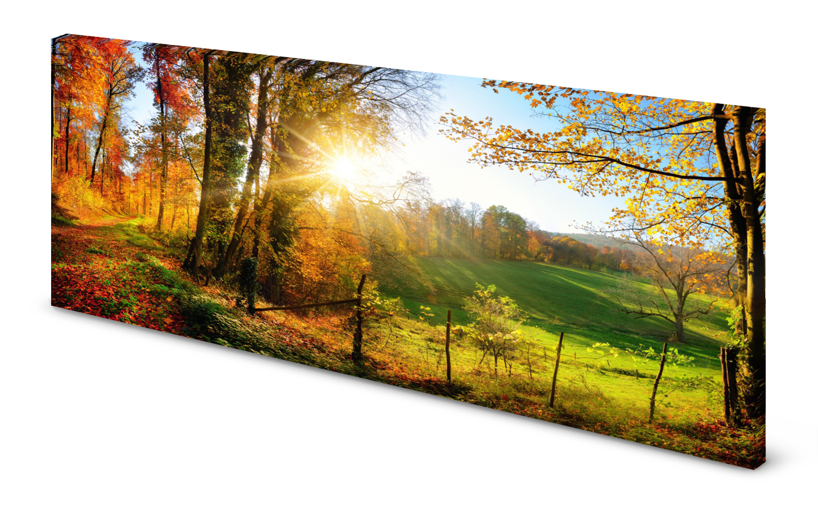 Magnettafel Pinnwand Bild Feldrand Waldrand Bäume Herbst gekantet