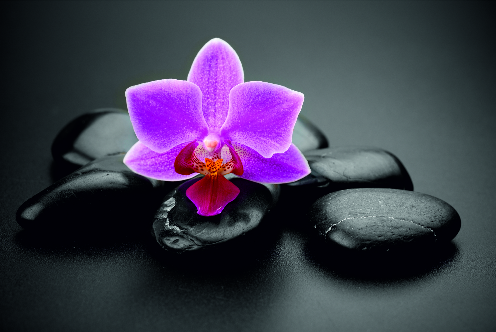 Magnettafel Pinnwand XXL Bild Steine schwarz Orchidee Zen rosa