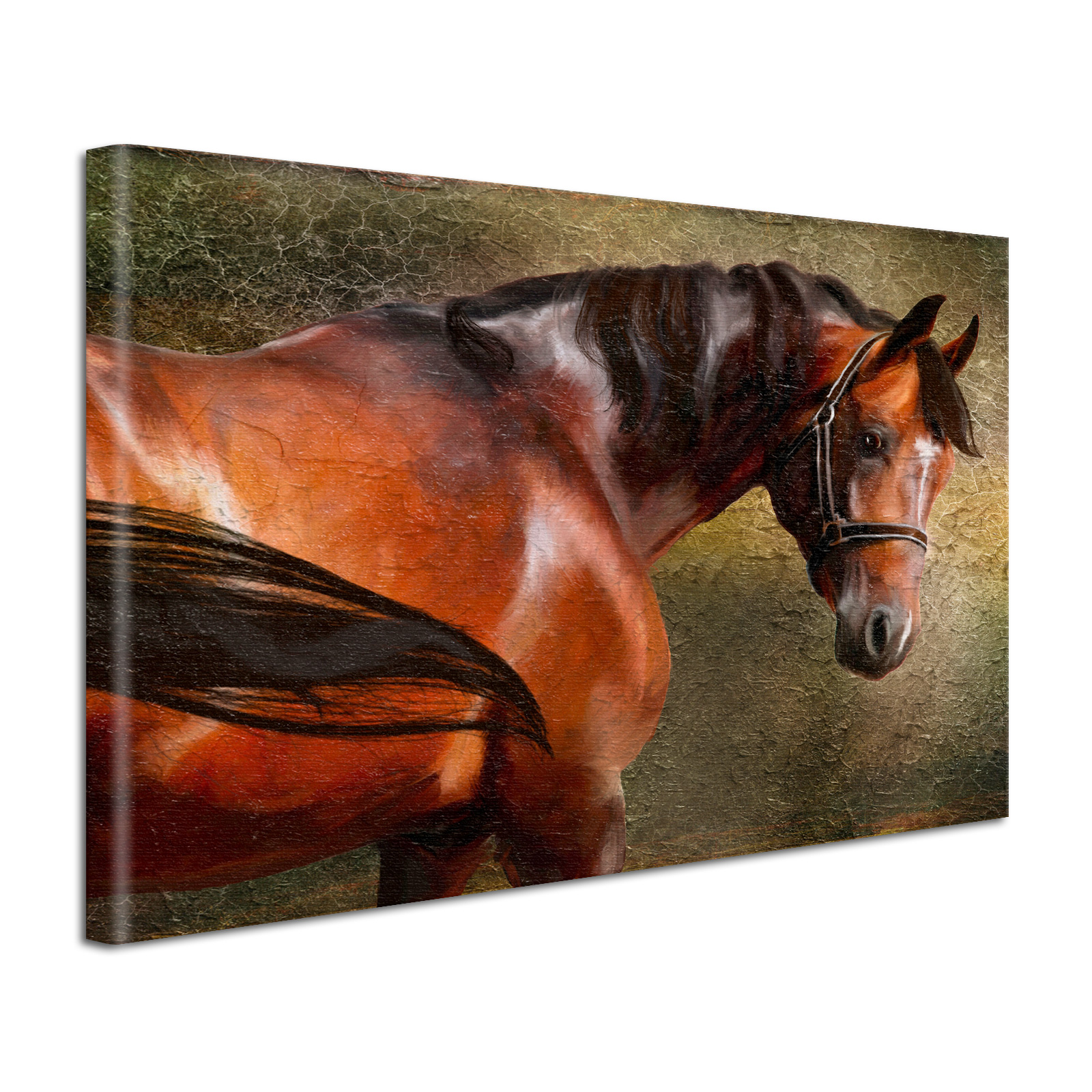 Leinwandbild Gemälde Pferd
