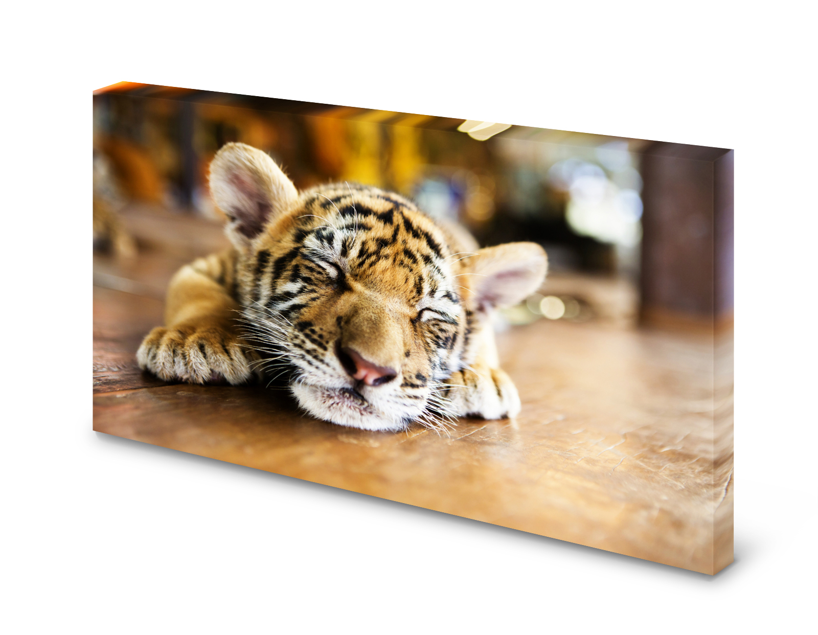 Magnettafel Pinnwand Bild Tiger Tigerbaby XXL gekantet