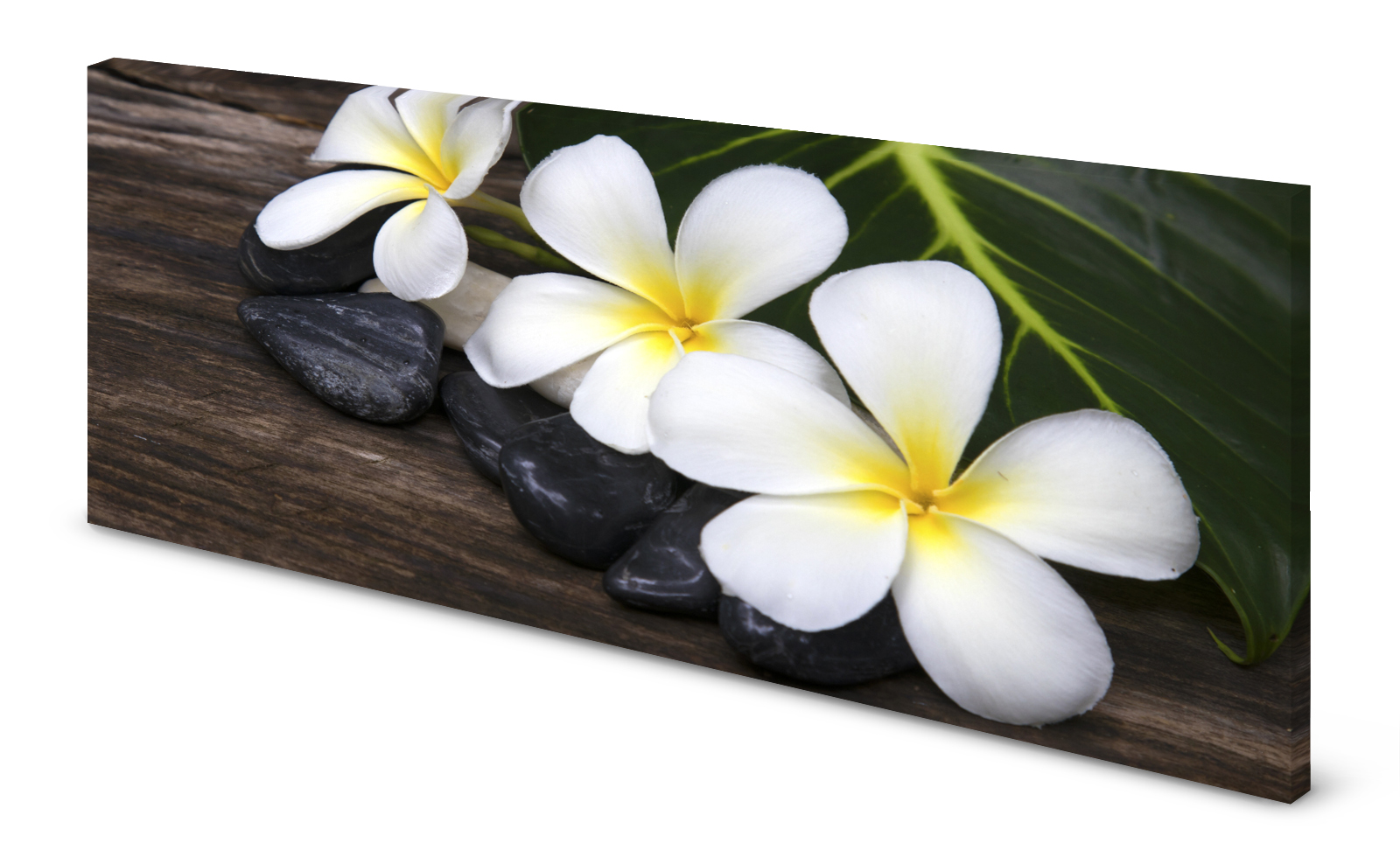 Magnettafel Pinnwand Bild Blumen exotisch Holzoptik Zen gekantet