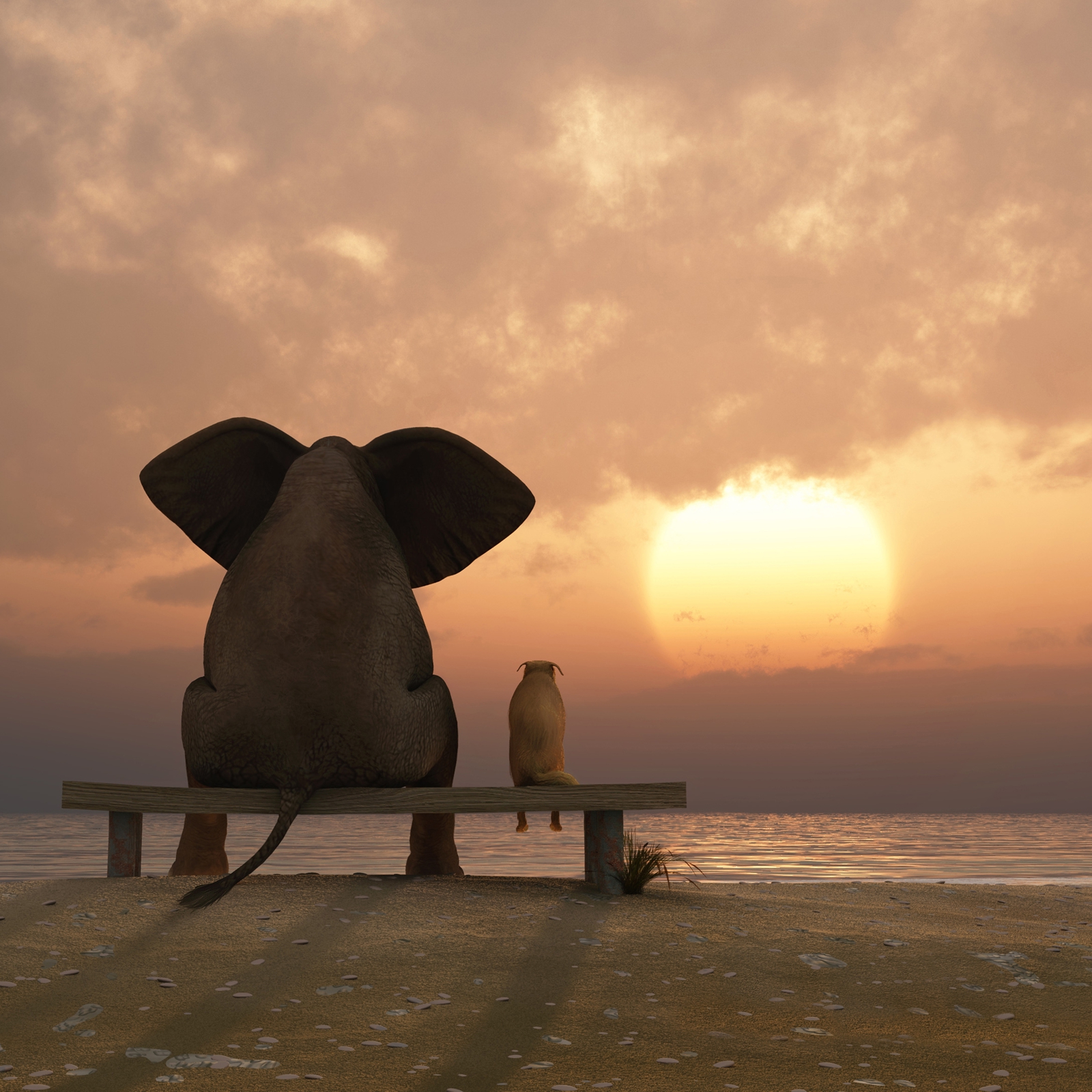 Beistelltisch Couchtisch mit Motiv Tiere Elefant & Hund Freundschaft