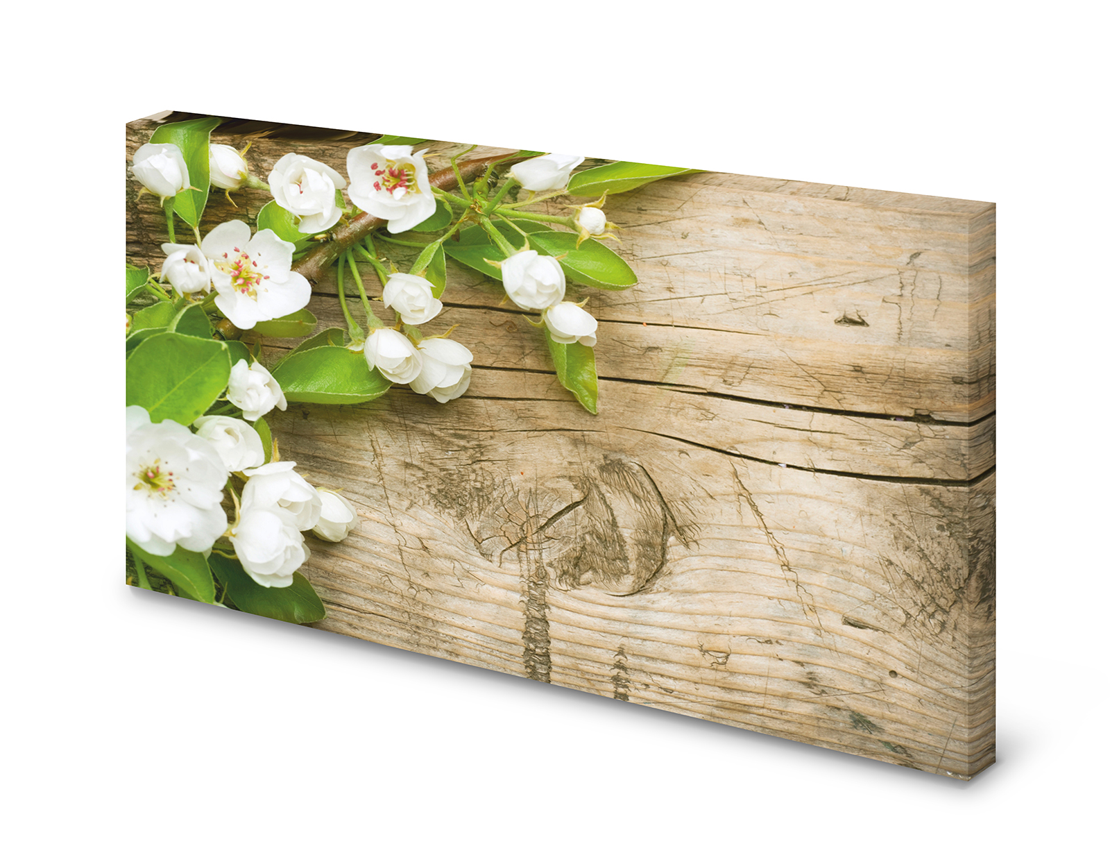Magnettafel Pinnwand Bild Apfelblüten auf Holz gekantet XXL